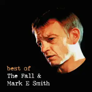 Best of the Fall & Mark E Smith Live