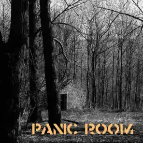 Panic Room (feat. Pleasant Val)