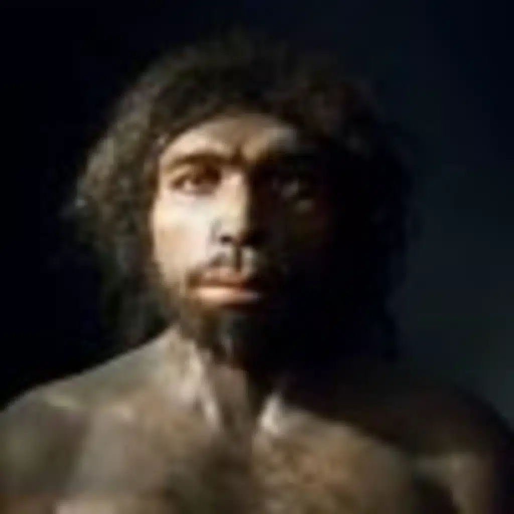 40. Atapuerca. "La Montaña Mágica".