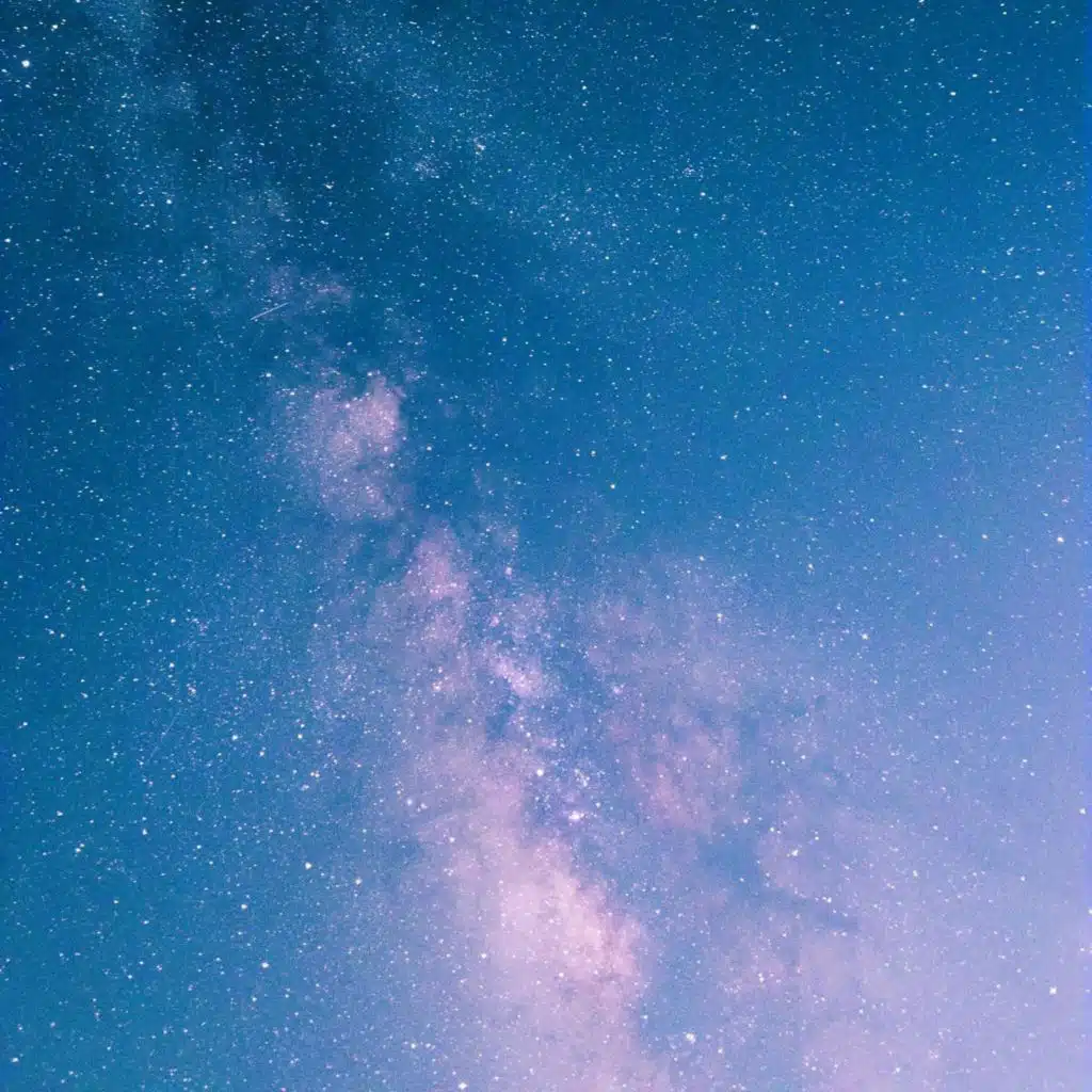Ambient Safari, Vol. 1