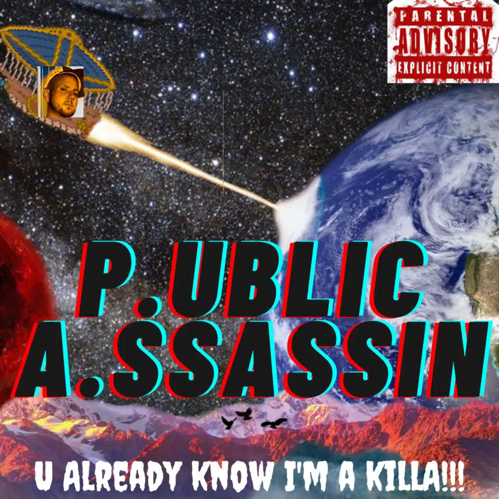 P.UBLIC A.SSASSIN