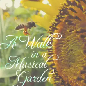 A Walk In A Musical Garden
