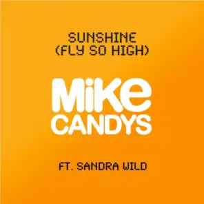 Sunshine (Fly so High) [feat. Sandra Wild]