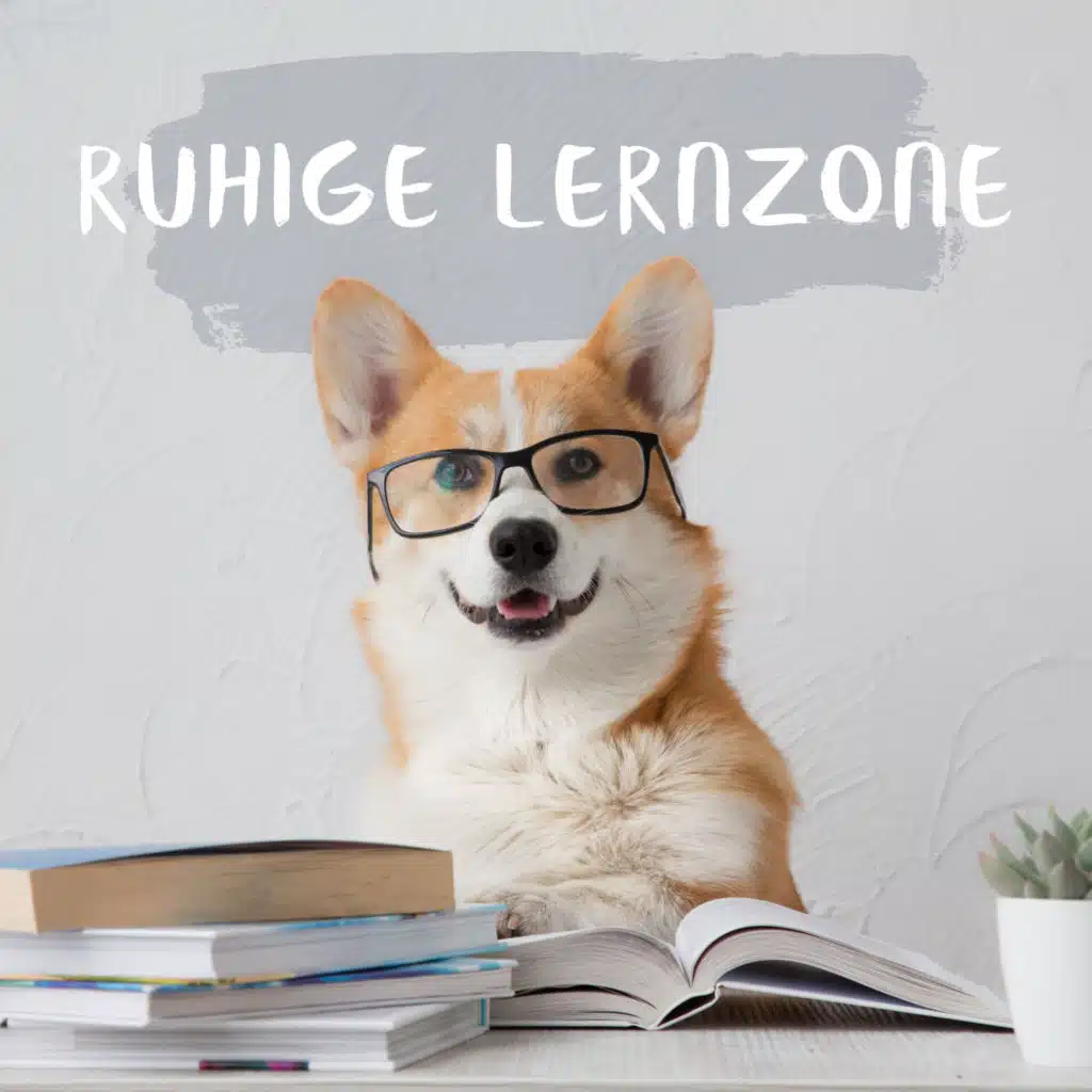 Ruhige Lernzone: Bleiben Sie Ruhig und Konzentrieren Sie Sich mit Beruhigender Musik