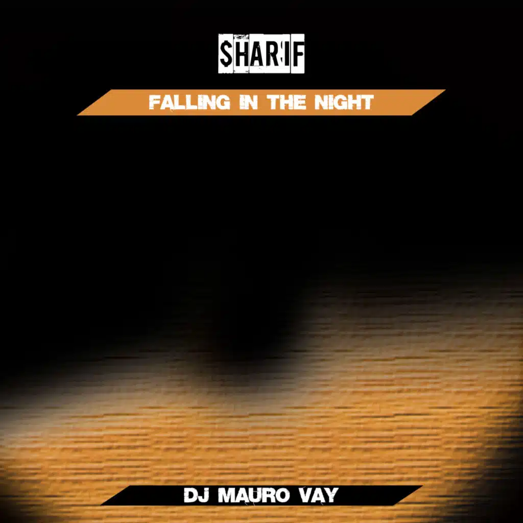 Falling in the Night (Dj Mauro Vay Radio Mix)