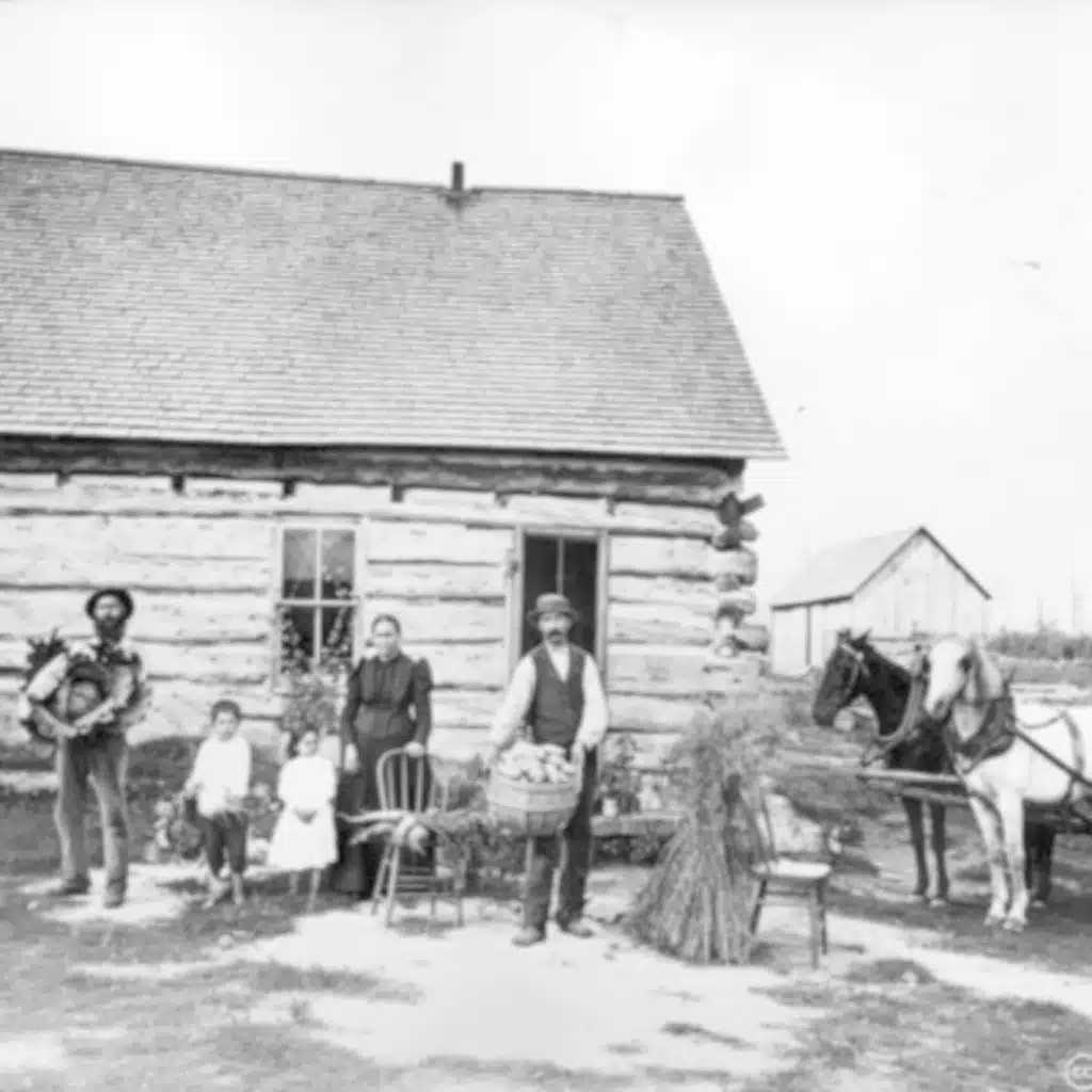 5 - Minnesota og Norge