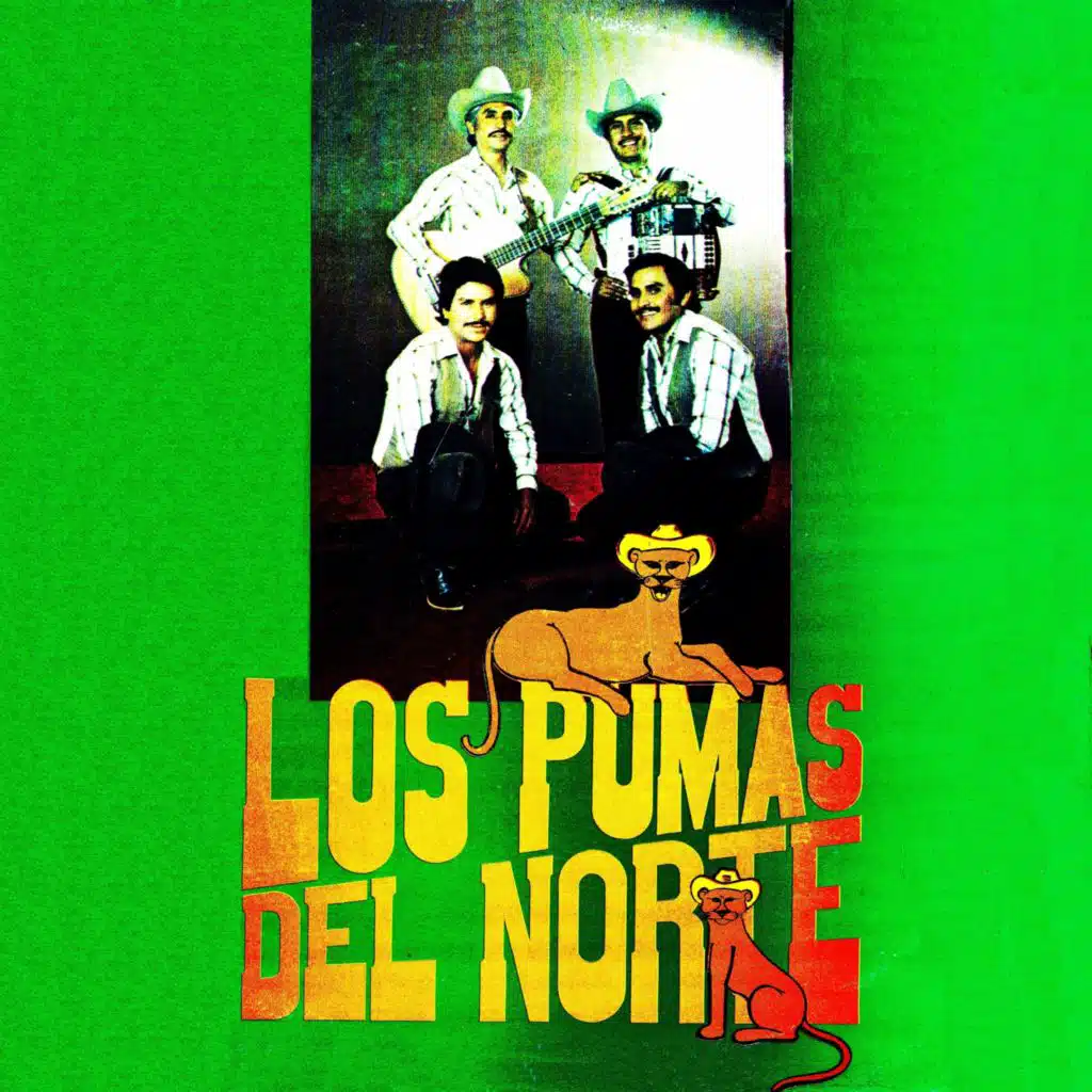 Los pumas del norte