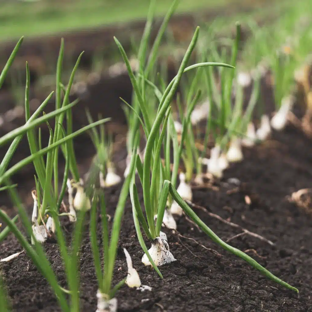 Put Baby Sleep Relaxing Sound