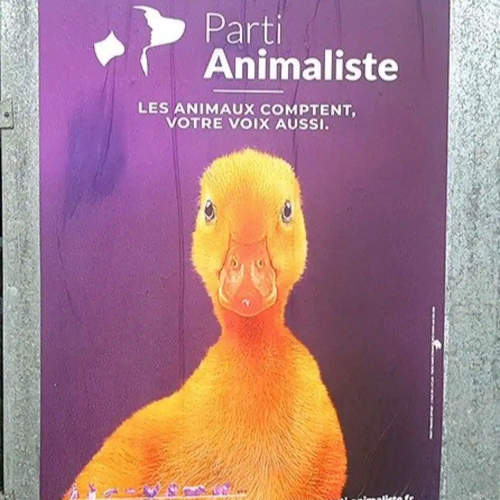 LEGISLATIVES : Pourquoi un parti animaliste ou écologiste ?