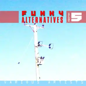 Funky Alternatives Vol.5
