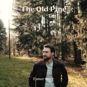 The Old Pine