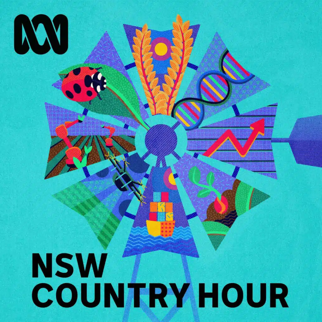 NSW Country Hour