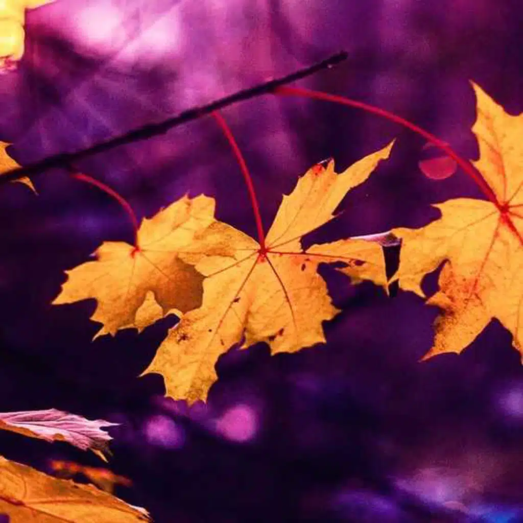 Fall into your Milkyway