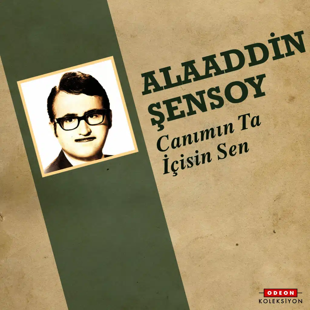 Canımın Ta İçisin Sen