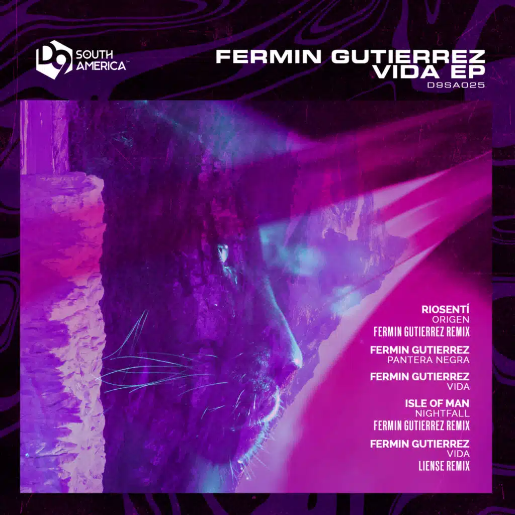 Vida (feat. Fermin Gutierrez)