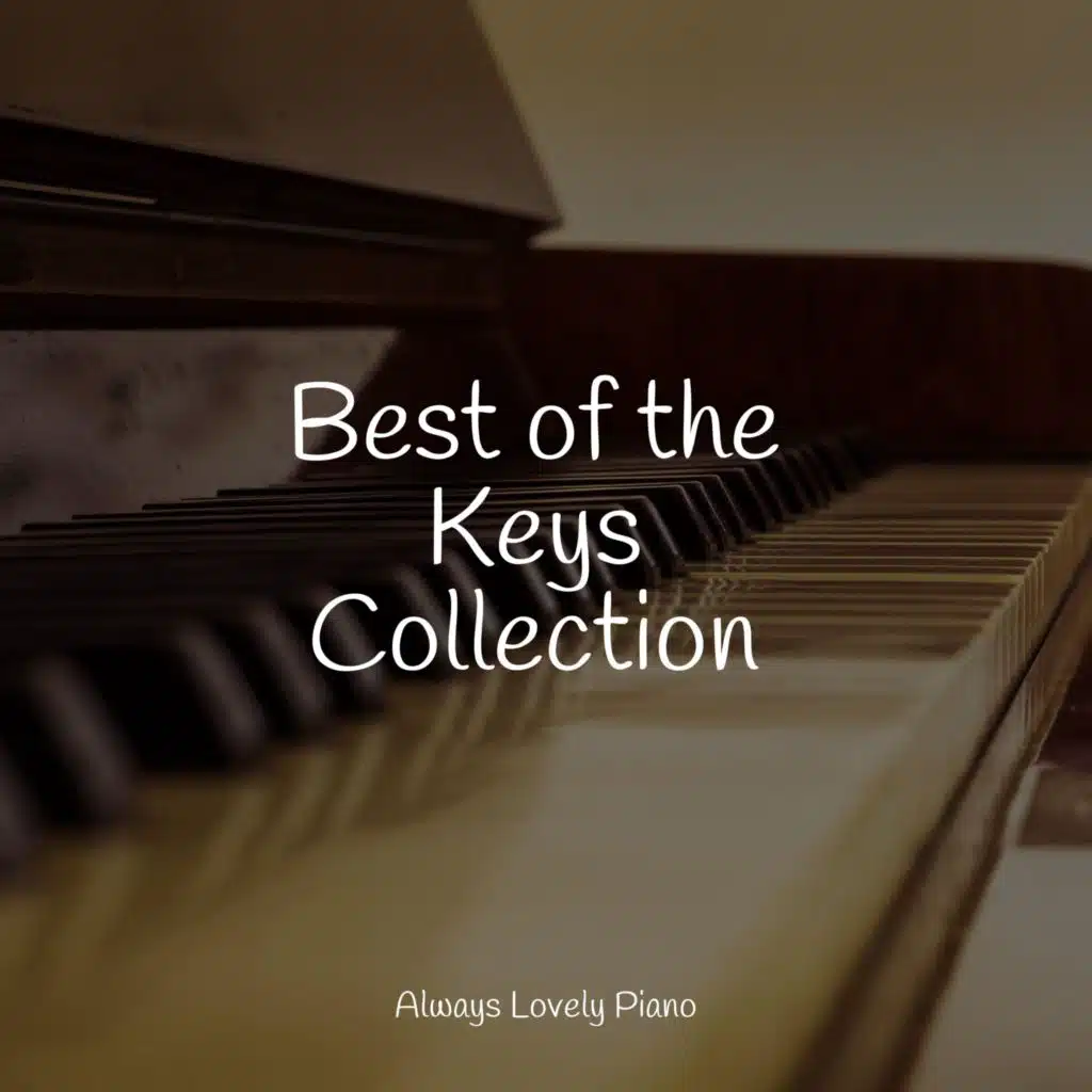 Concentration Music Ensemble & Ambient Piano