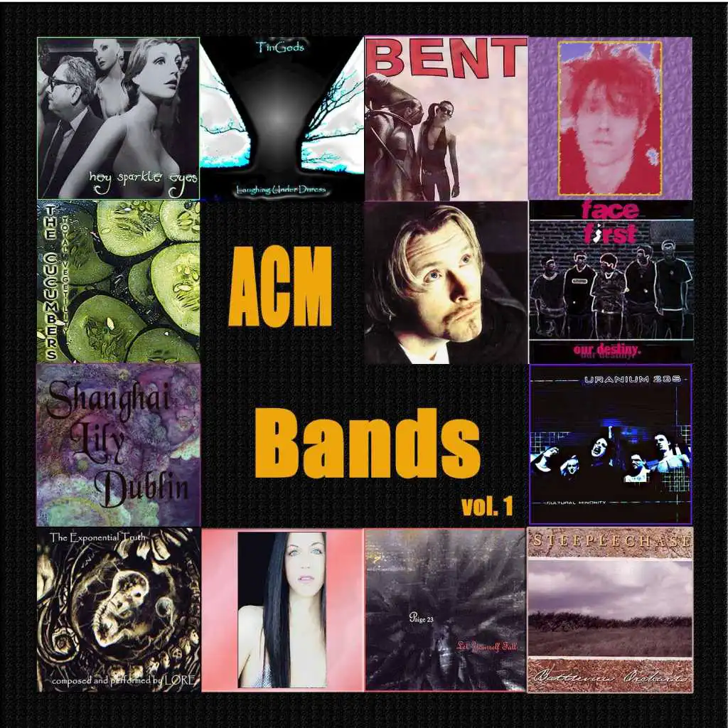 ACM Bands Vol. 1