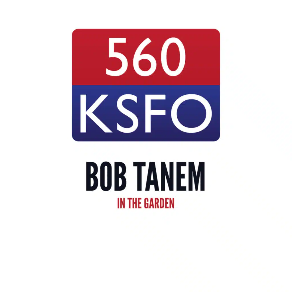 Cumulus Media San Francisco / Bob Tanem In The Garden