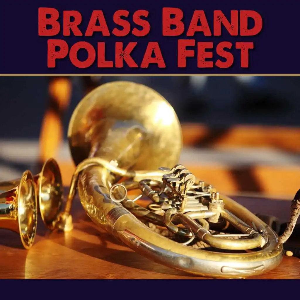 The Polka Brass Ensemble of the German Army