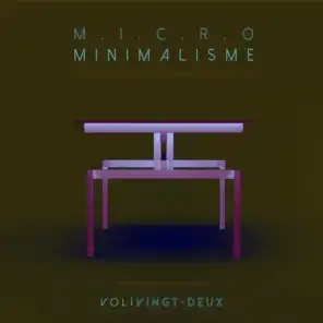 Micro Minimalisme Vol. Vingt-Deux