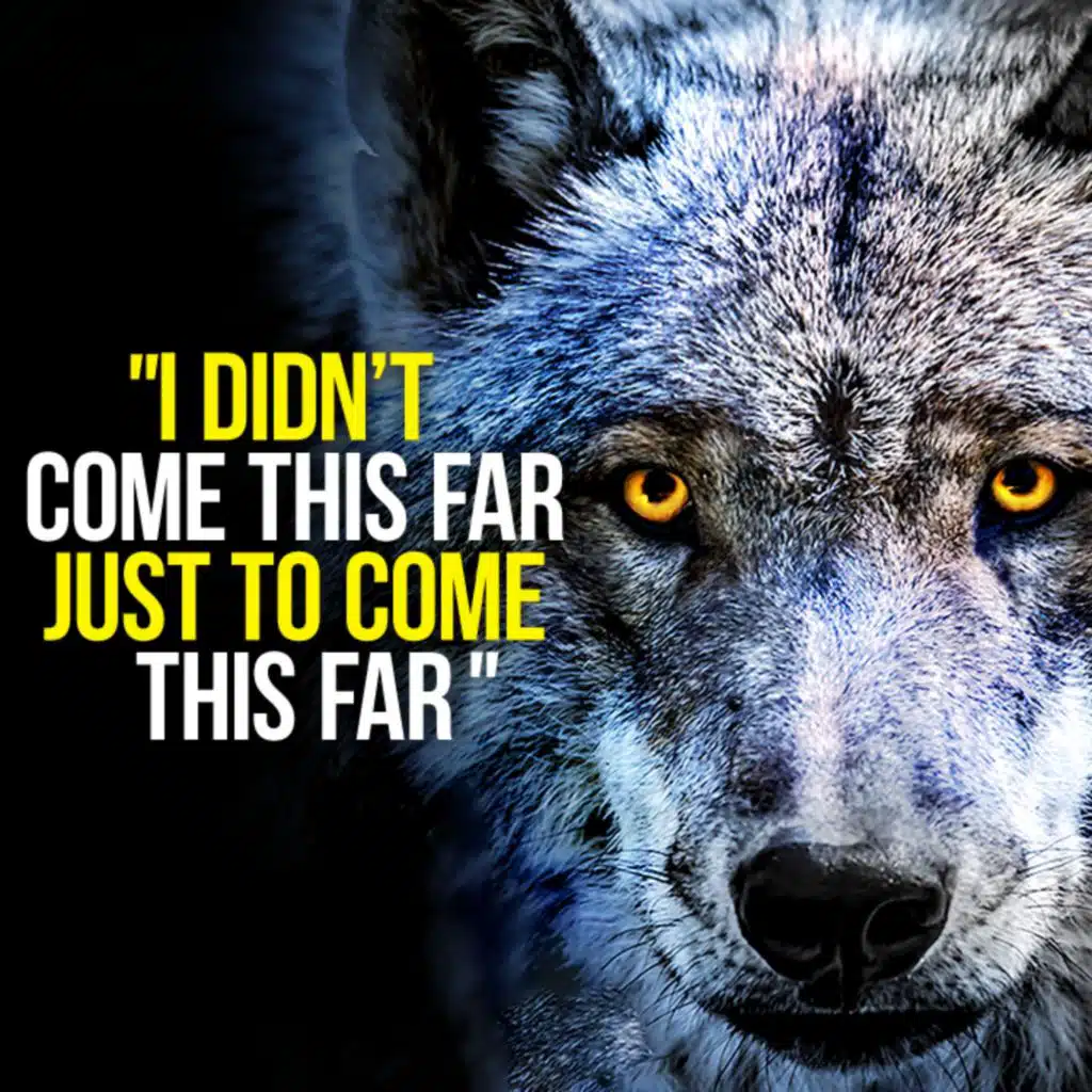 GET BACK UP AND TRY AGAIN