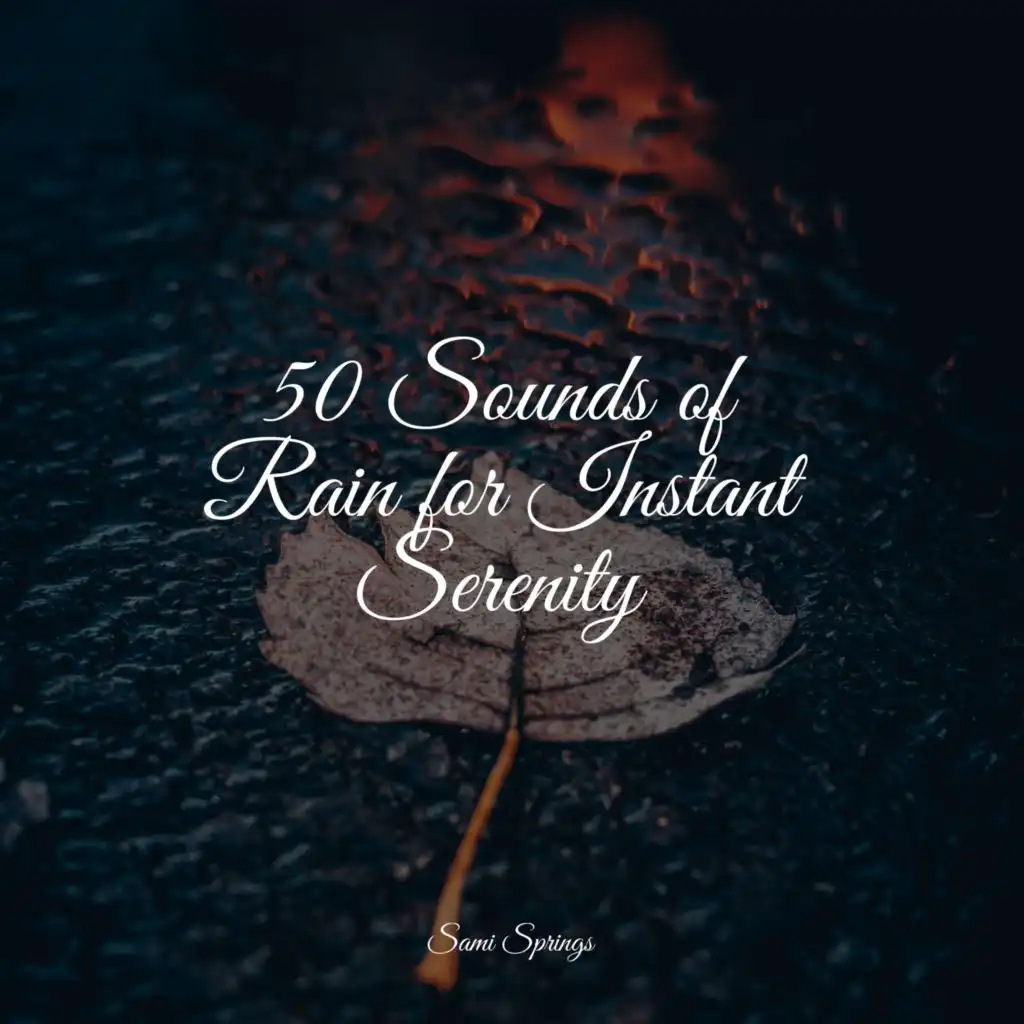 50 Sounds of Rain for Instant Serenity