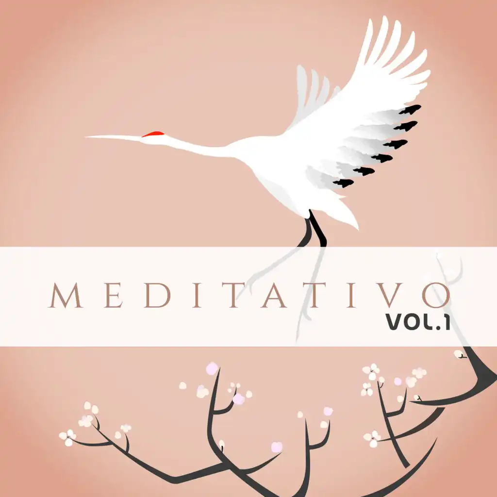 Meditativo, Vol. 1