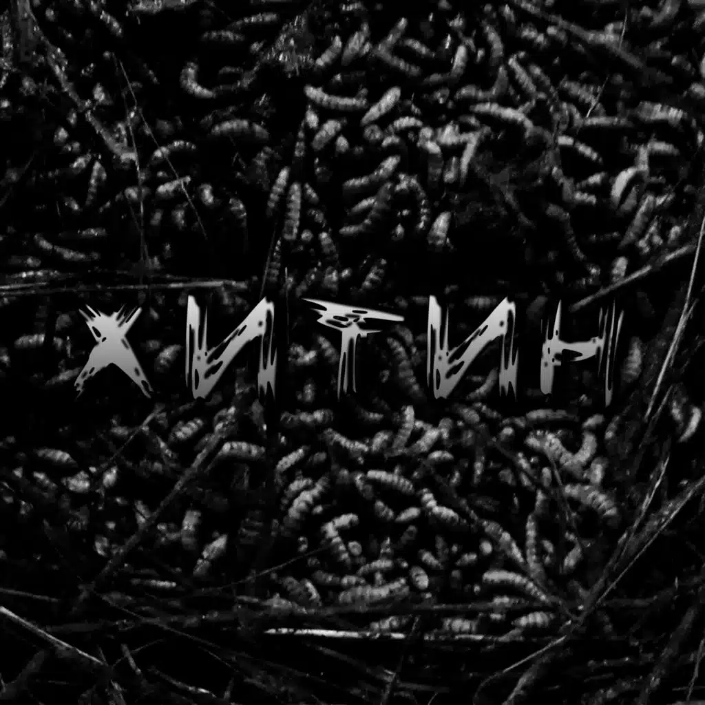 Ведьмина Поляна