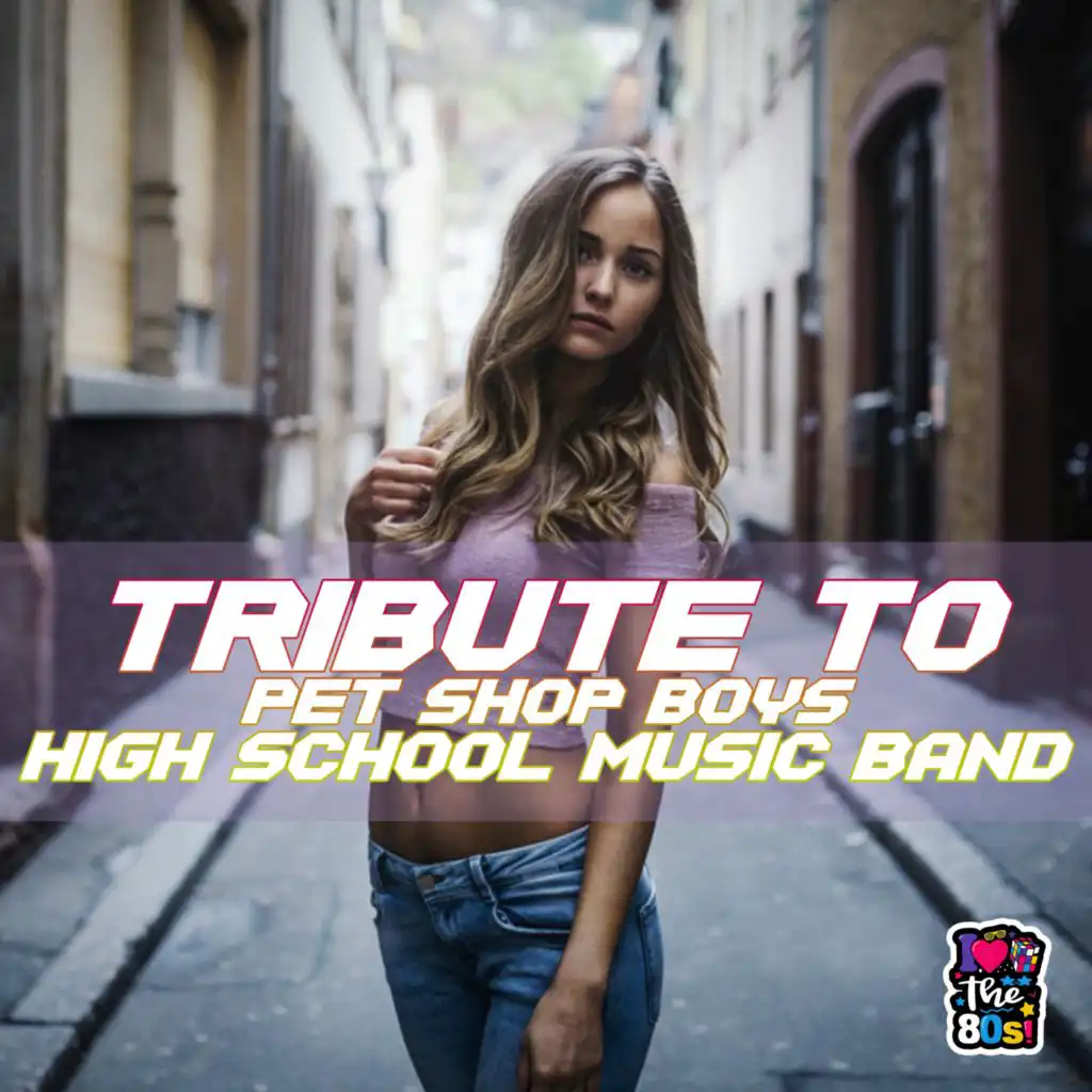 Tribute To Pet Shop Boys