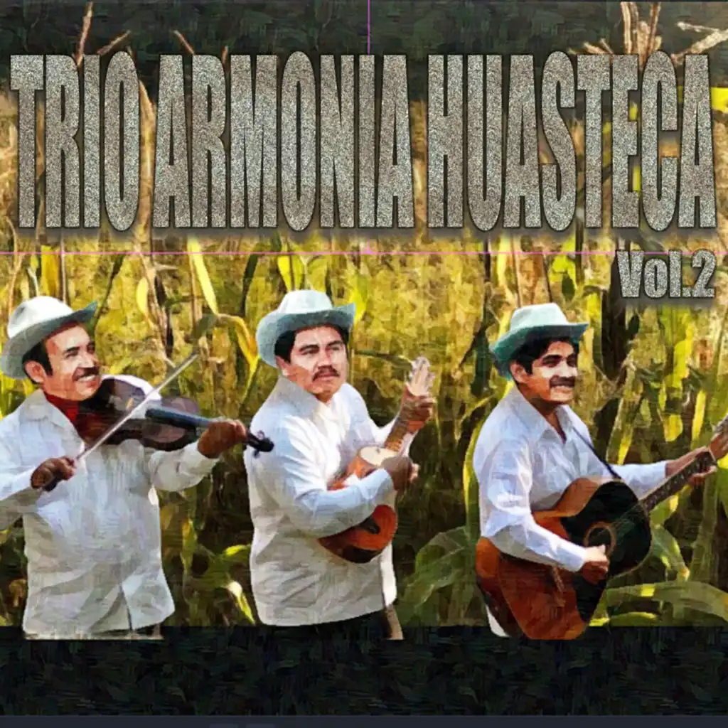 Trio Armonia Huasteca, Vol. 2
