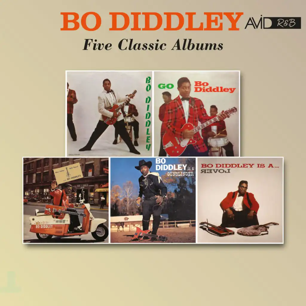 Don't Let It Go (Go Bo Diddley)