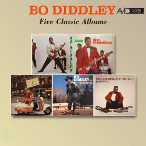 Who Do You Love (Bo Diddley)