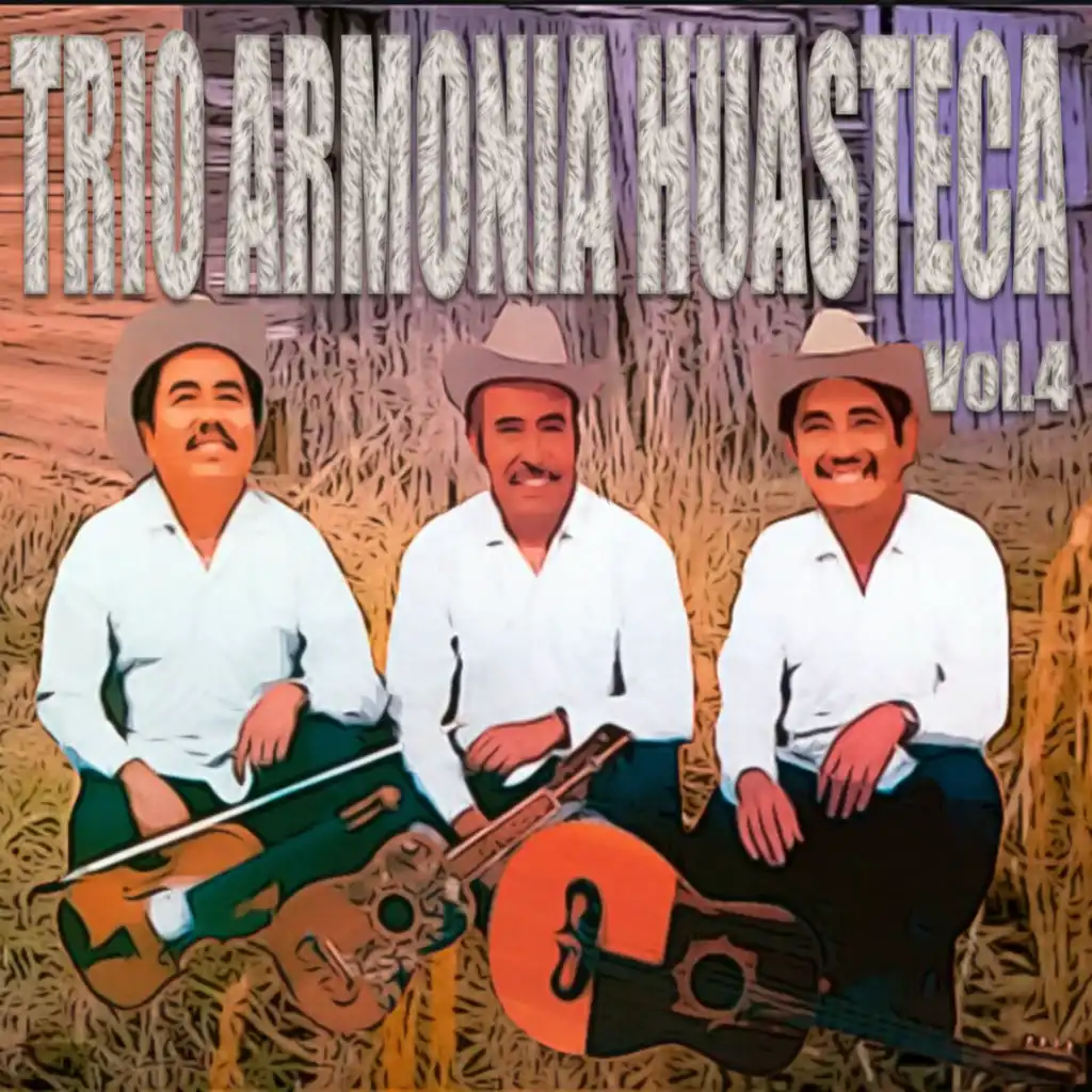 Trio Armonia Huasteca, Vol. 4