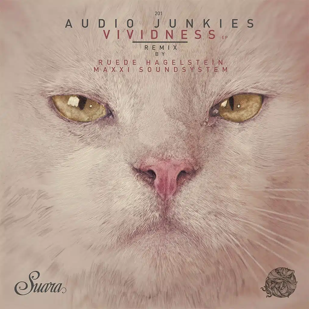 Vividness (Ruede Hagelstein Remix) [ft. Haptic]