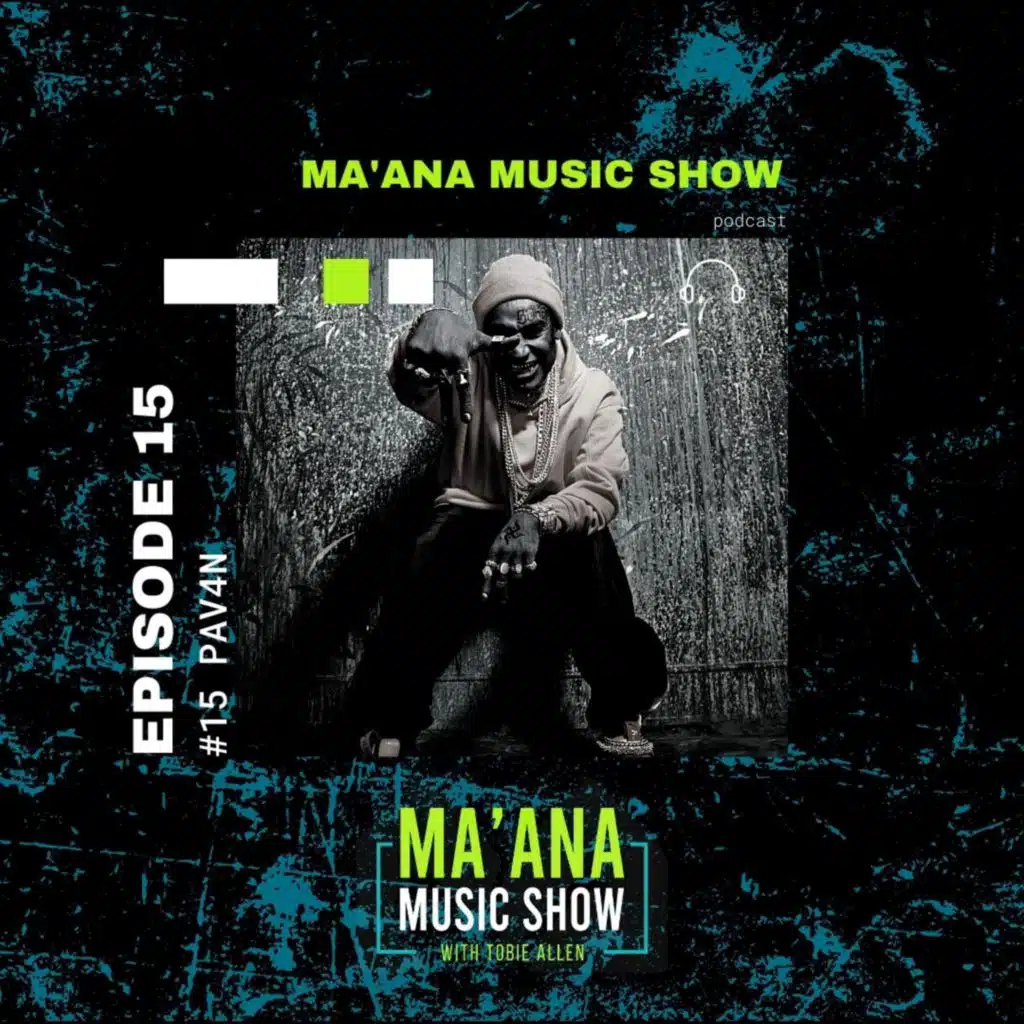 015 What You Need to Succeed as a Musician with PAV4N (Foreign Beggars)