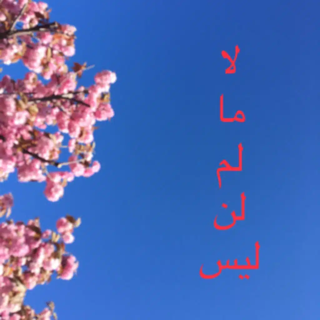 How to Negate in Arabic: 5 Words You Need to Know 