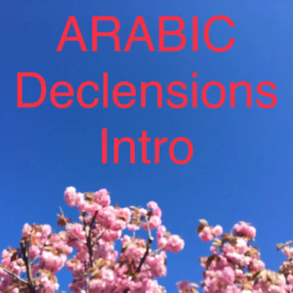 Arabic Declensions: Introduction