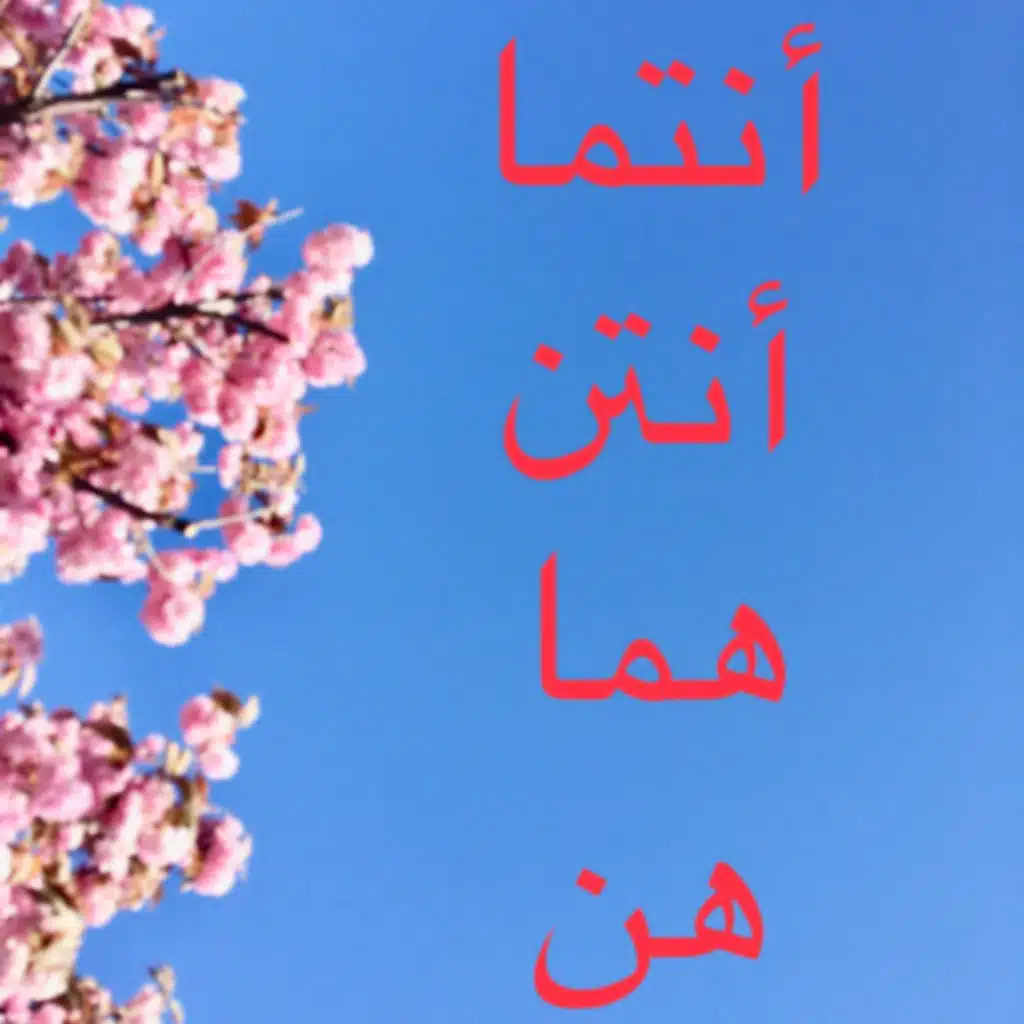 Arabic Personal Pronouns: 5 Things You Need to Know 