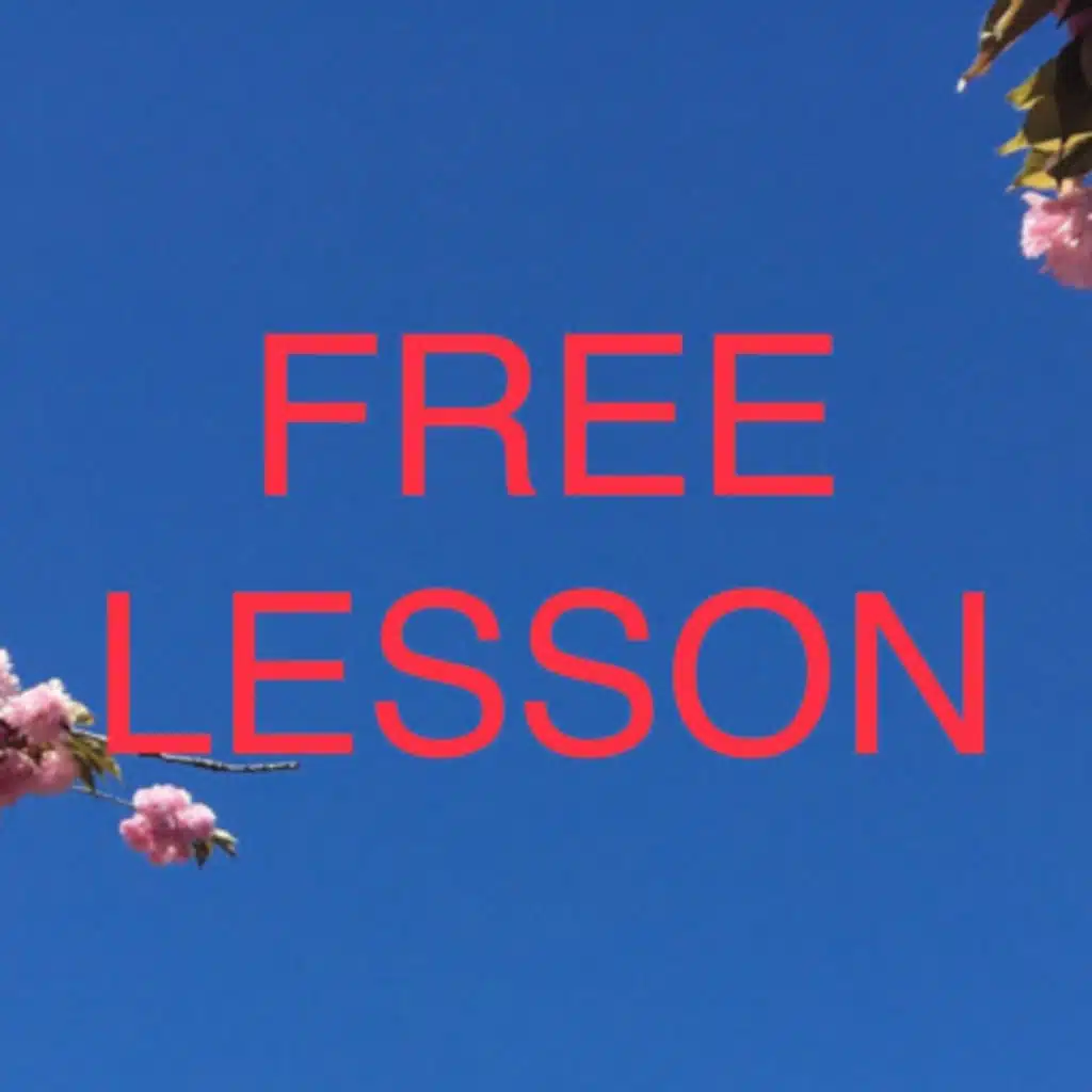 Free INTRO TO ARABIC LESSON: 80 minutes 