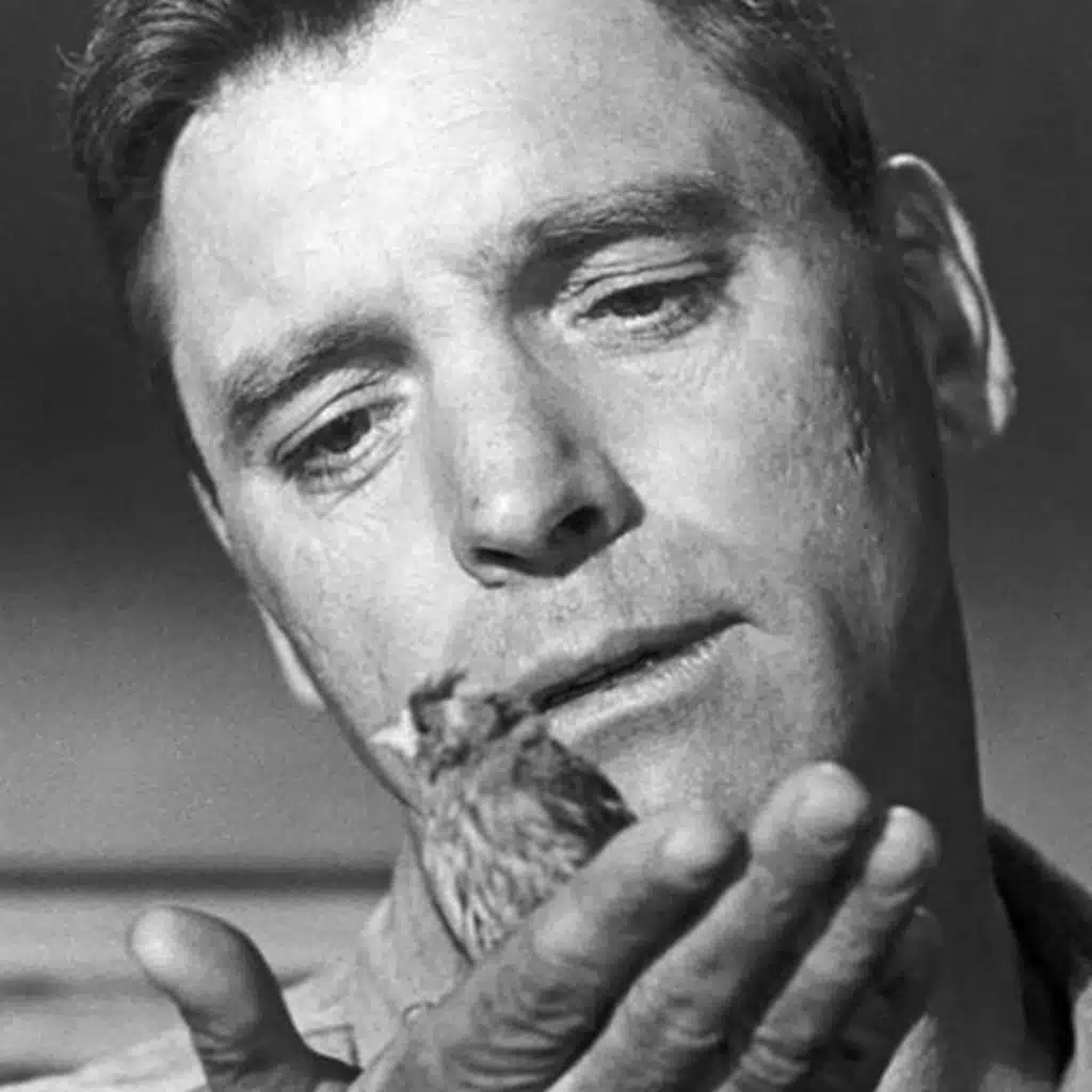 #23 - Evadez-vous avec "Le Prisonnier d'Alcatraz" et les ressorties DVD du mois de juillet