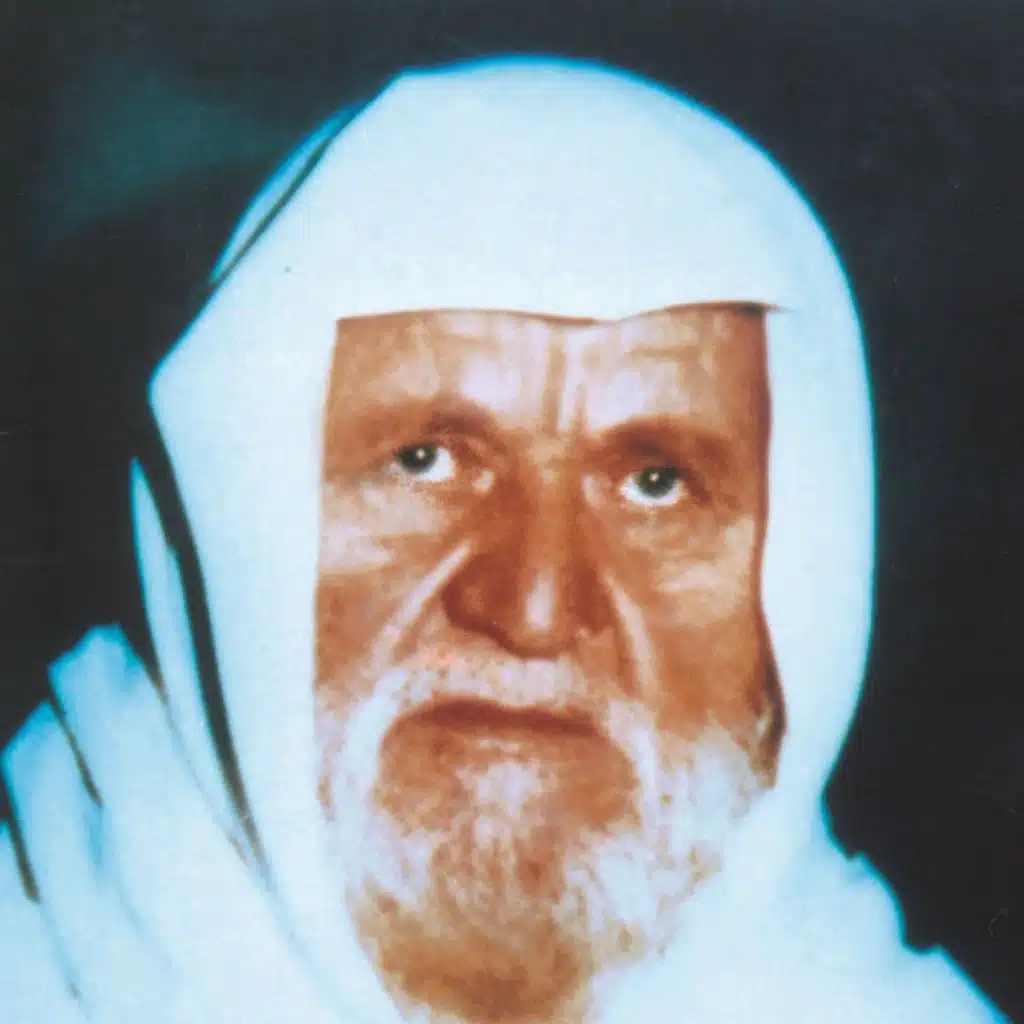 رحلة النور الجزء التاسع -  الألباني - مقطع 2
