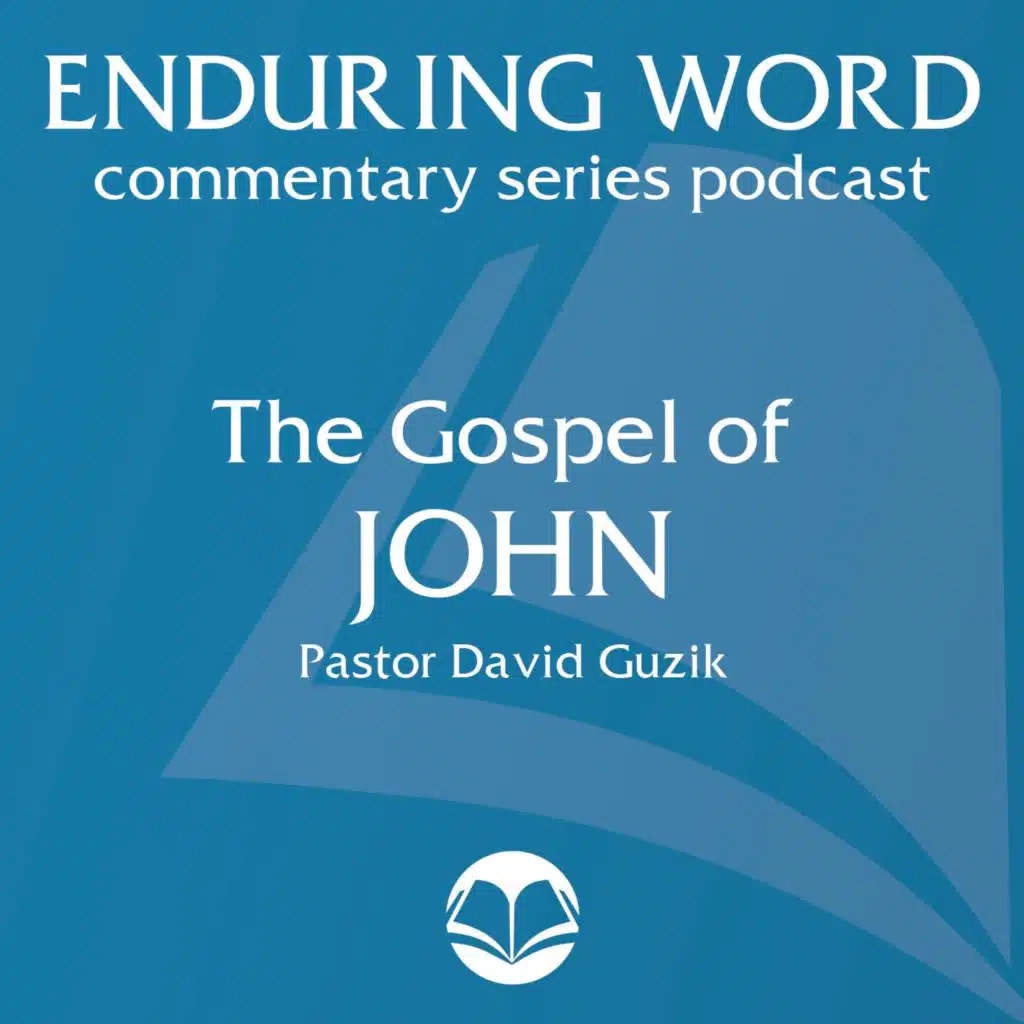 John 4:43-54 – Revealed as Worth Believing (Nate Wagner)