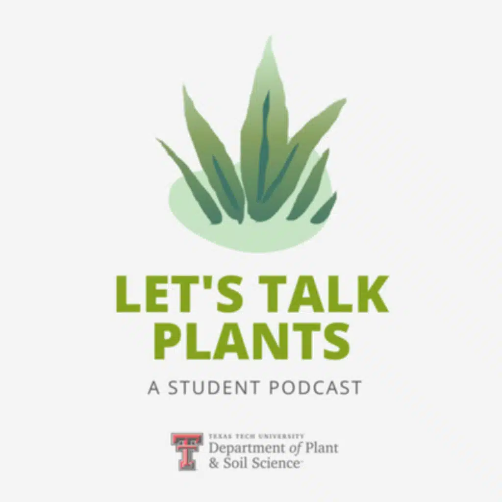 Kamri Carper: Using Native and Well-Adapted Drought Tolerant Plants in the Landscape