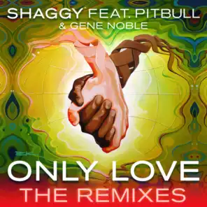 Only Love (Bad Royale Remix) [feat. Pitbull & Gene Noble]