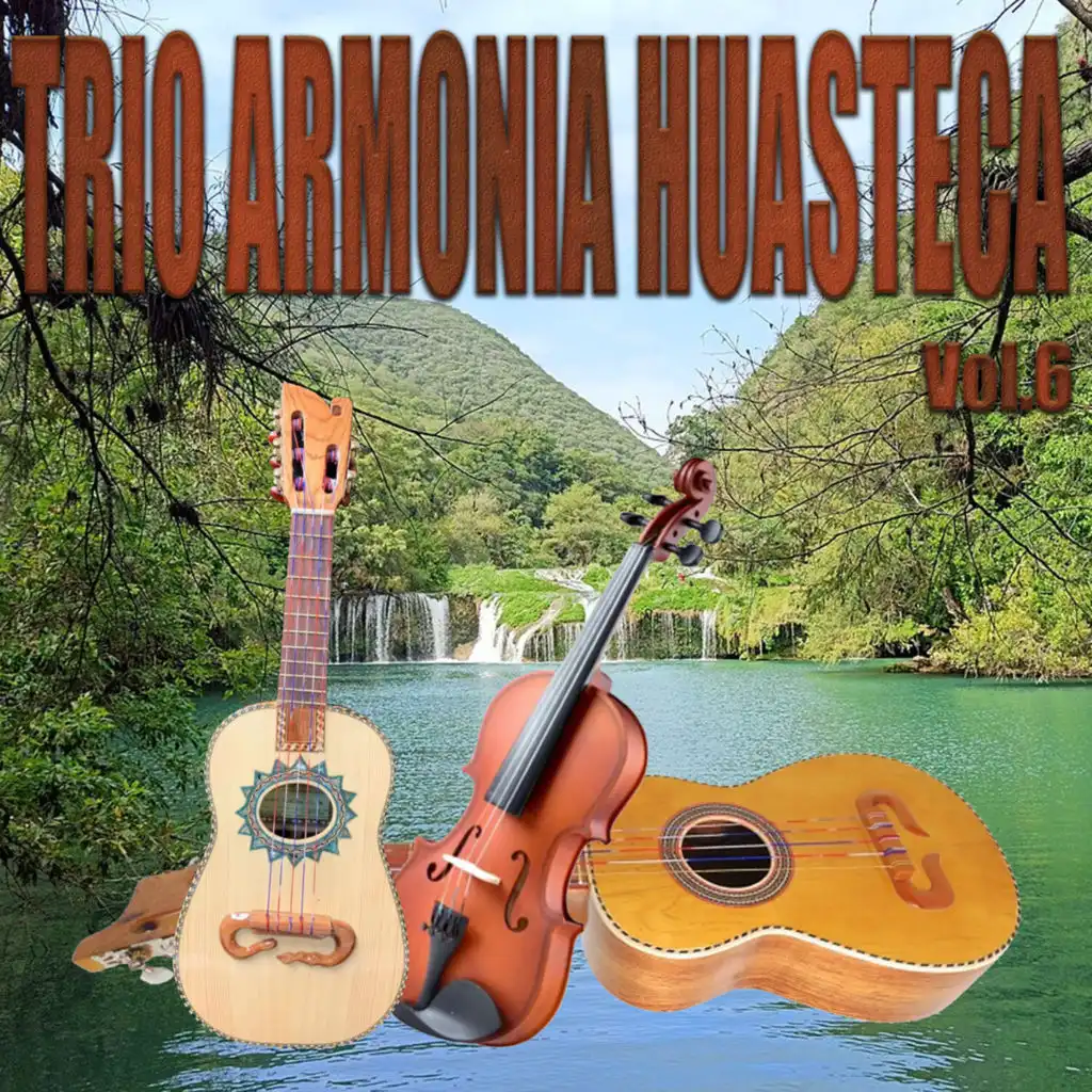 Trio Armonia Huasteca, Vol. 6