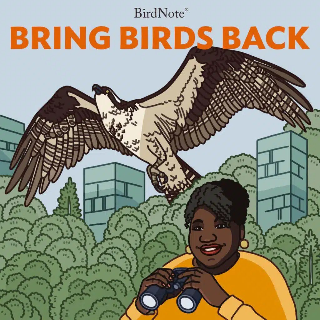 How Can We Protect Birds From Plastics?