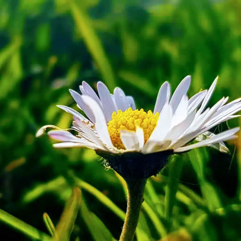 10 minutes of confidence