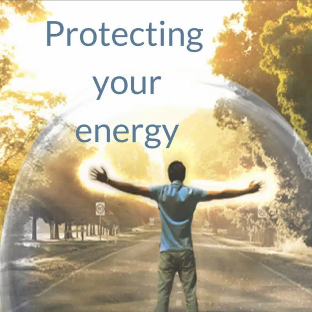 Protect Your Energy/Go Vote (VOTE411.ORG)