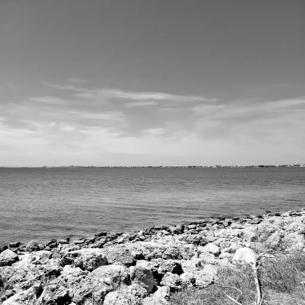 LIVE and SEE (Emergency Reminder)