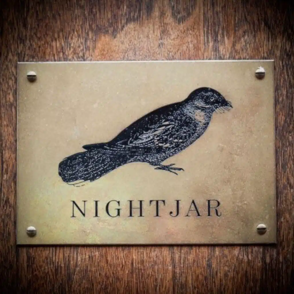 Nightjar: In conversation with founder Roisin Stimpson